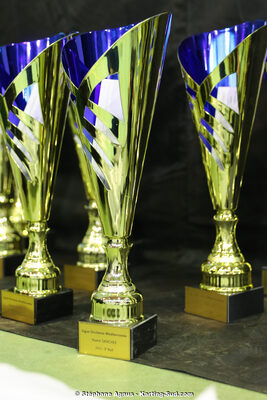 08/12/2019 : Remise des Prix du Championnat du Sud et des Championnats de Ligues Occitanie Pyrénées et Occitanie Méditerranée (Photos Stéphane Agnus) 2019 — karting