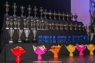 12/01/2020 : Remise des Prix 2019 du Comité Automobile Occitanie Pyrénées (photos Stéphane Agnus) 2020 — karting