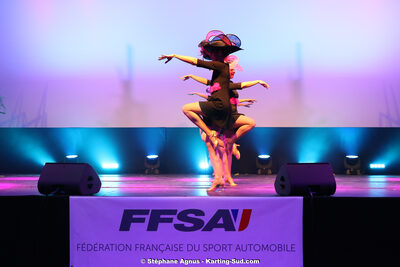 12/01/2020 : Remise des Prix 2019 du Comité Automobile Occitanie Pyrénées (photos Stéphane Agnus) 2020 — karting