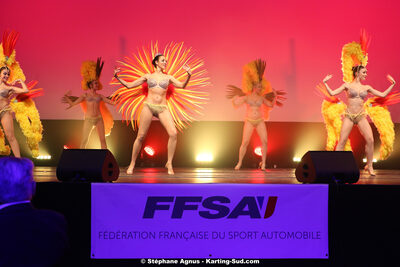 12/01/2020 : Remise des Prix 2019 du Comité Automobile Occitanie Pyrénées (photos Stéphane Agnus) 2020 — karting