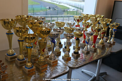 23/02/2020 : Trophée Gangeois 2020 (photos Stéphane Agnus) 2020 — karting