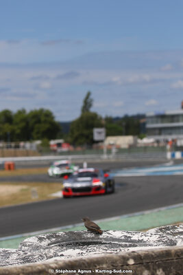 01 & 02 août 2020 – Trophée Tourisme Endurance à Albi (photos Stéphane Agnus) 2020 — karting