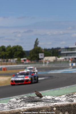 01 & 02 août 2020 – Trophée Tourisme Endurance à Albi (photos Stéphane Agnus) 2020 — karting