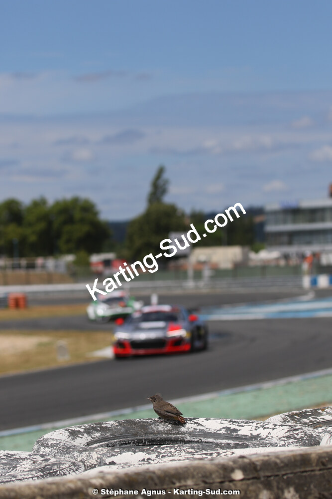 01 & 02 août 2020 – Trophée Tourisme Endurance à Albi (photos Stéphane Agnus) 2020 — karting