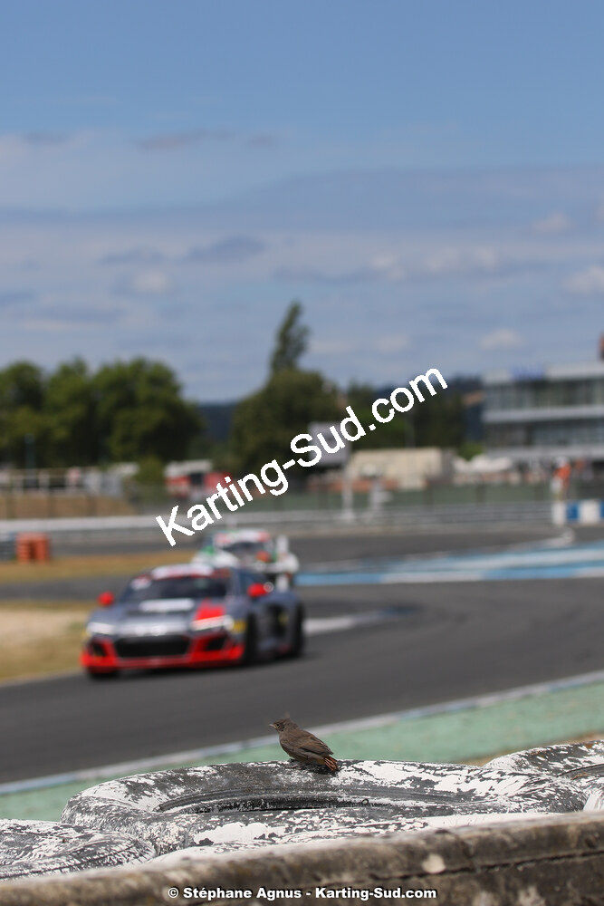 01 & 02 août 2020 – Trophée Tourisme Endurance à Albi (photos Stéphane Agnus) 2020 — karting