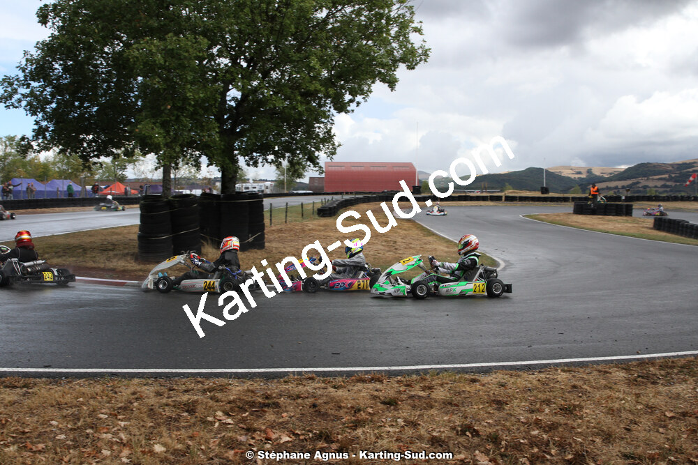 IMG_5731.jpg