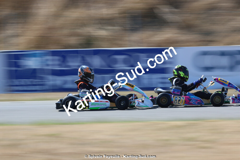 IMG_2498.jpg