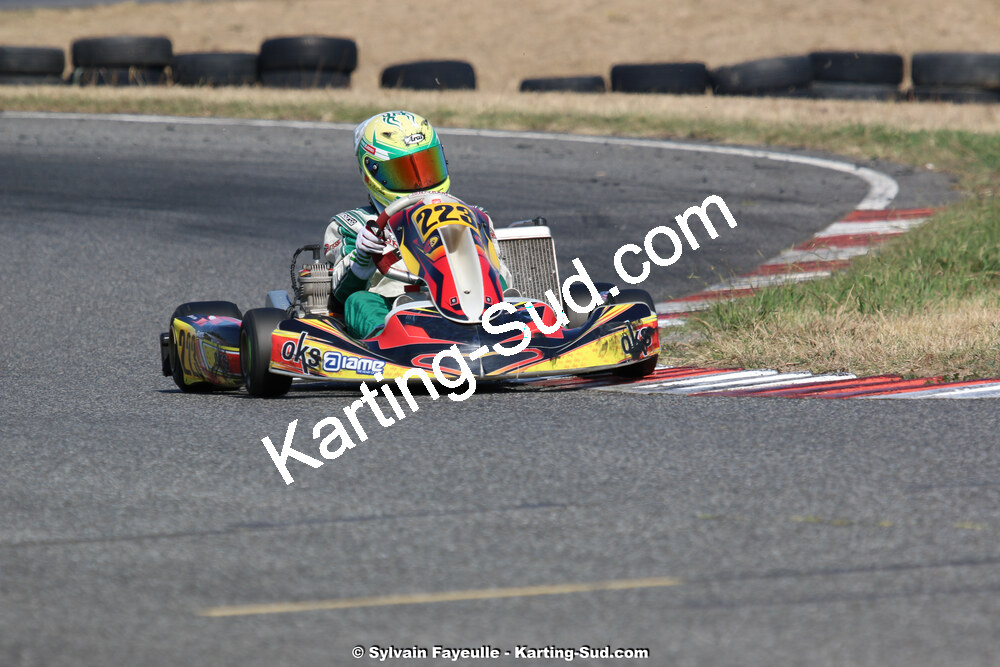 IMG_2639.jpg