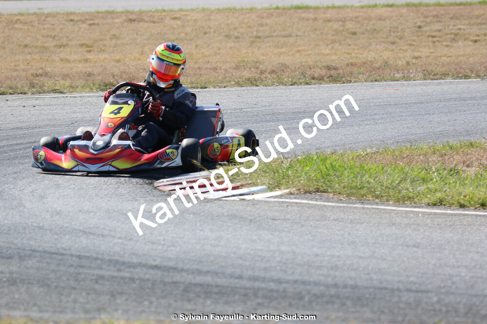 IMG_2667.jpg