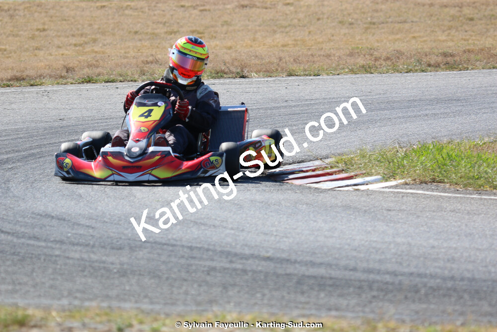 IMG_2668.jpg