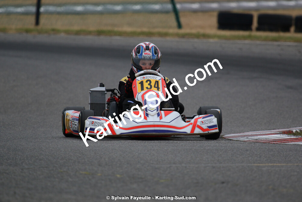 IMG_3532.jpg