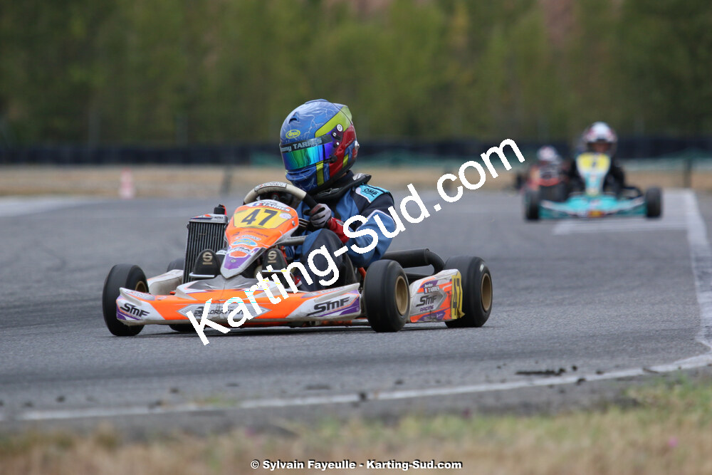IMG_3540.jpg