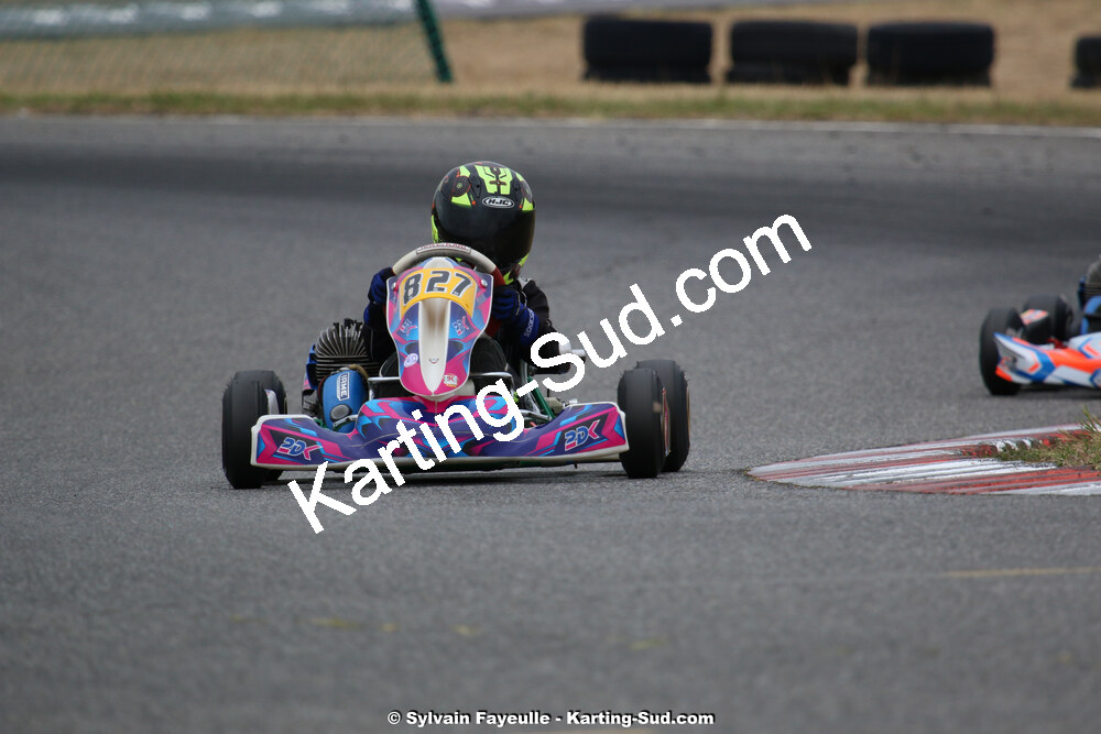 06/09/2020 : Course Club Circuit Haute-Garonne Karting de Muret (photos Sylvain Fayeulle) 2020 — karting
