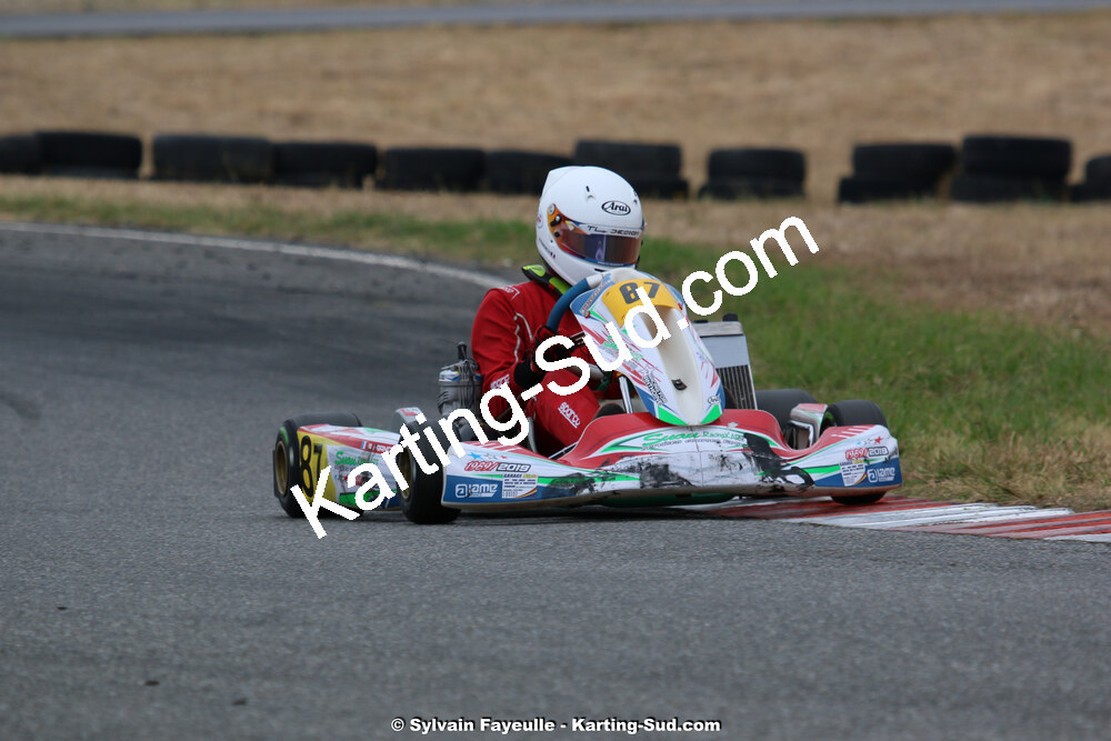IMG_3771.jpg