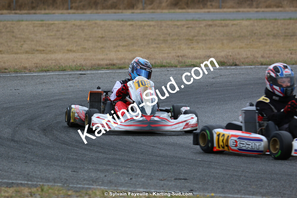 IMG_4071.jpg