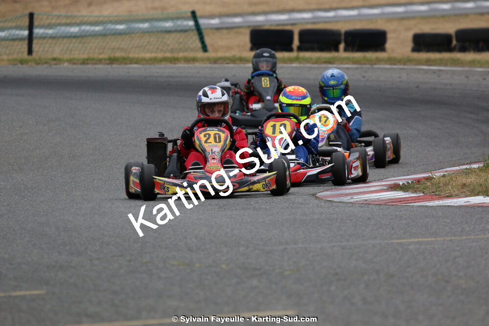 IMG_4208.jpg