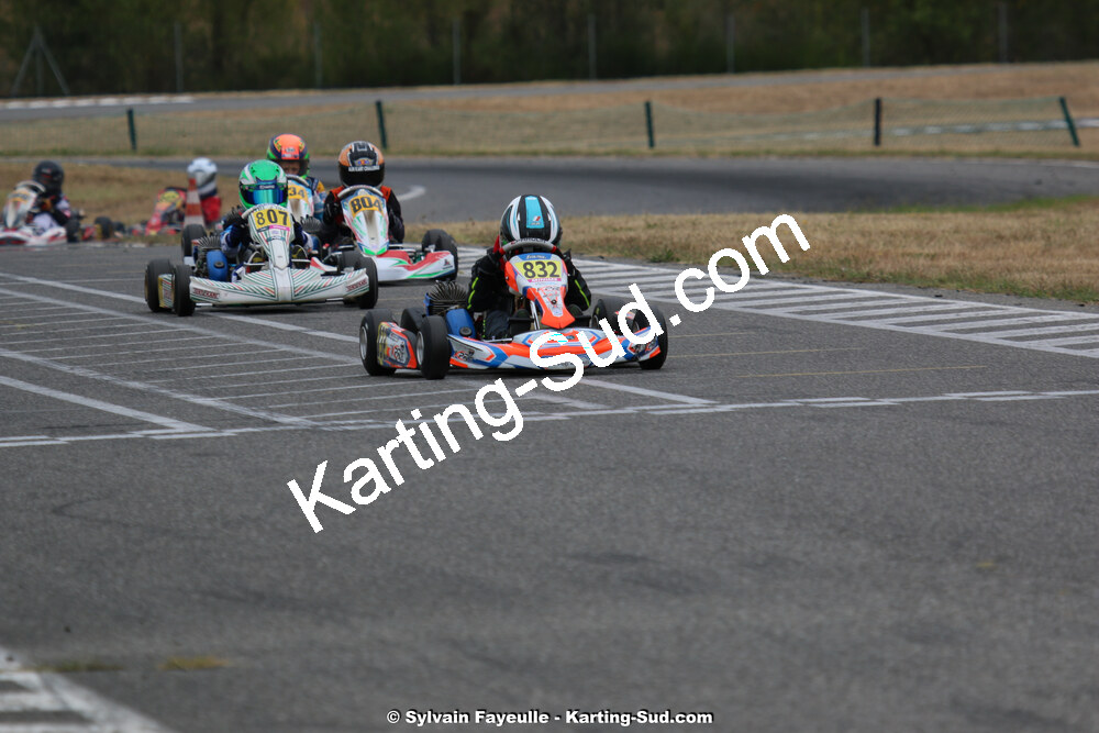 IMG_4267.jpg