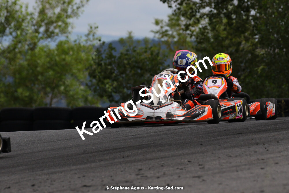 24 & 25/07/2021 : Championnat de France FFSA Karting Sprint à Belmont sur Rance (photos Stéphane Agnus) 2021 — karting