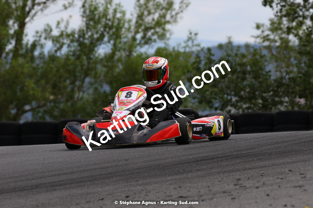 24 & 25/07/2021 : Championnat de France FFSA Karting Sprint à Belmont sur Rance (photos Stéphane Agnus) 2021 — karting