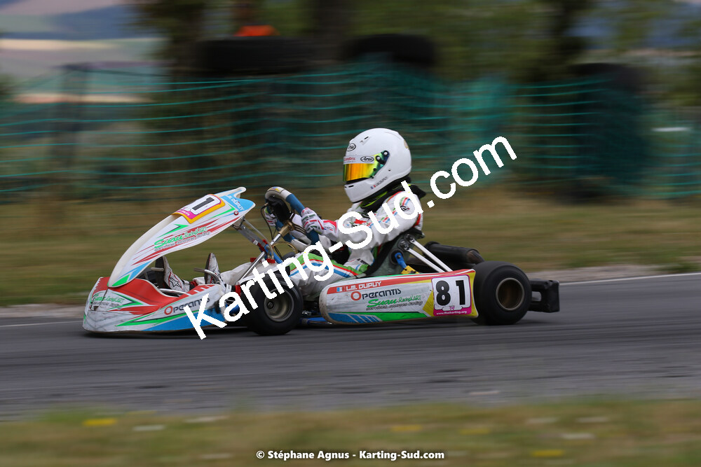 24 & 25/07/2021 : Championnat de France FFSA Karting Sprint à Belmont sur Rance (photos Stéphane Agnus) 2021 — karting