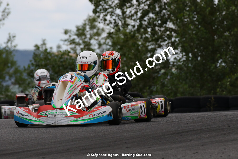 24 & 25/07/2021 : Championnat de France FFSA Karting Sprint à Belmont sur Rance (photos Stéphane Agnus) 2021 — karting