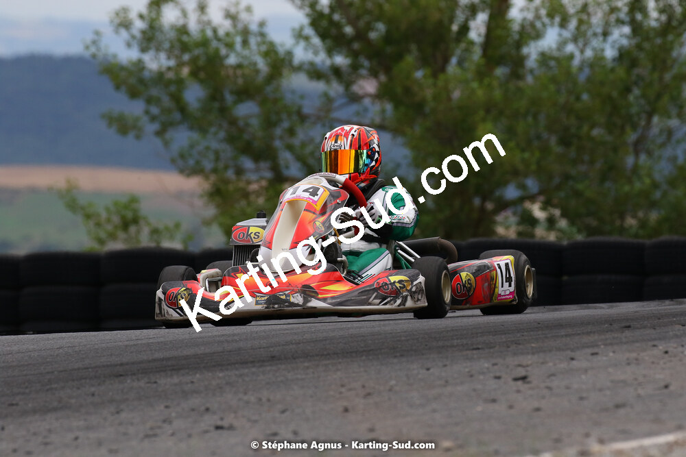 24 & 25/07/2021 : Championnat de France FFSA Karting Sprint à Belmont sur Rance (photos Stéphane Agnus) 2021 — karting