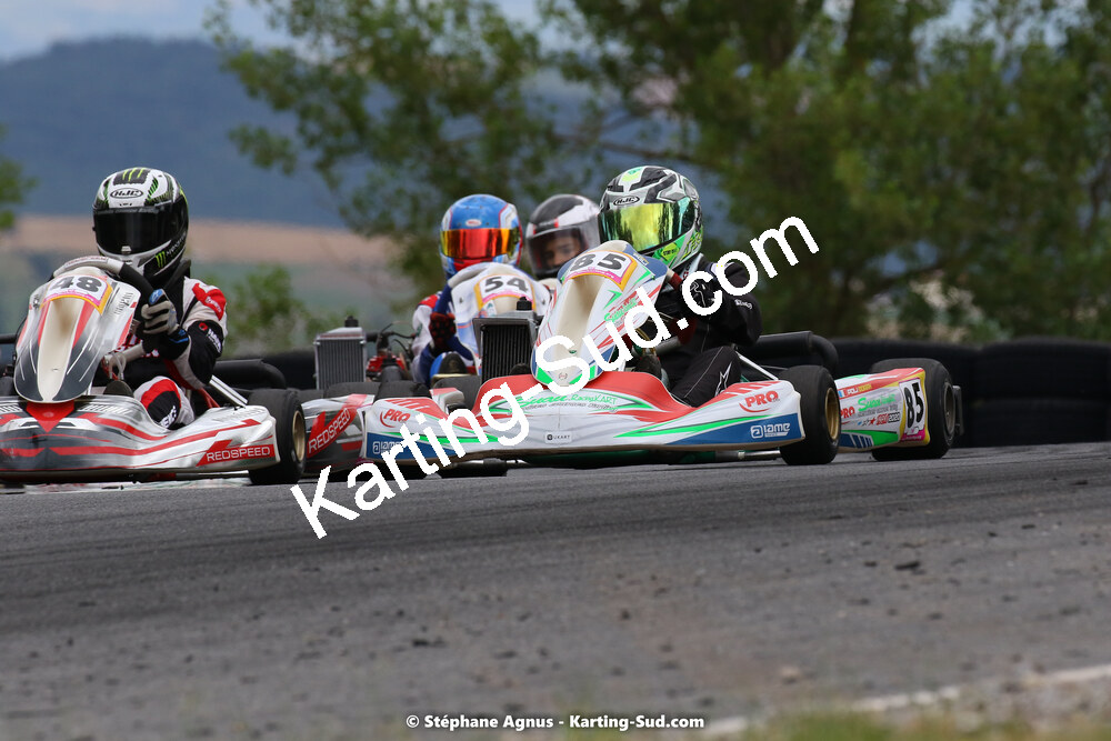 24 & 25/07/2021 : Championnat de France FFSA Karting Sprint à Belmont sur Rance (photos Stéphane Agnus) 2021 — karting