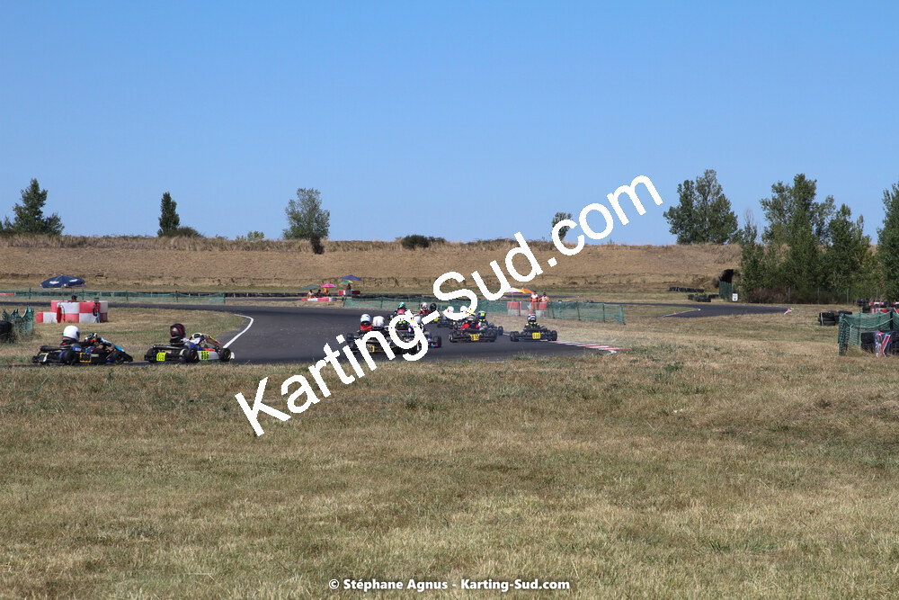 IMG_8588.jpg