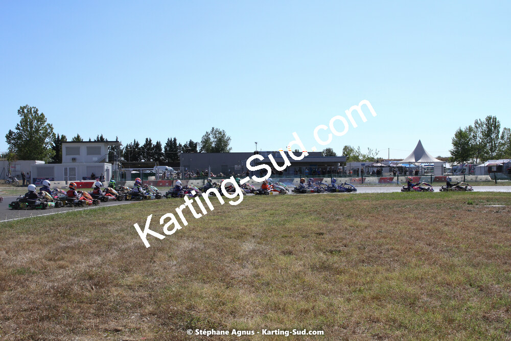 IMG_8645.jpg