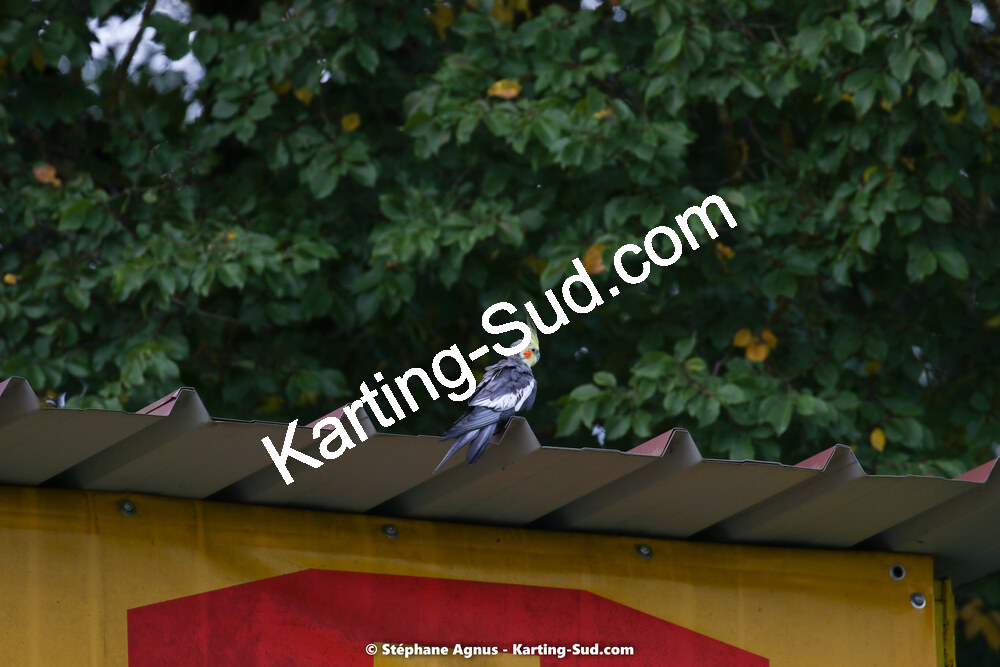 10/10/2021 : 3ème manche du Trophée Kart Ufolep Nouvelle Aquitaine à Layrac (photos Stéphane Agnus) 2021 — karting