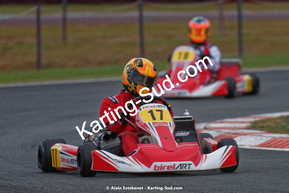 KAR_8406KART-DIM.jpg