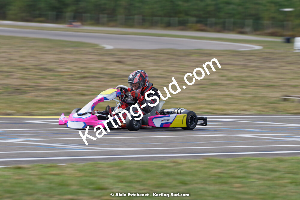 DSC_0278DXO.jpg
