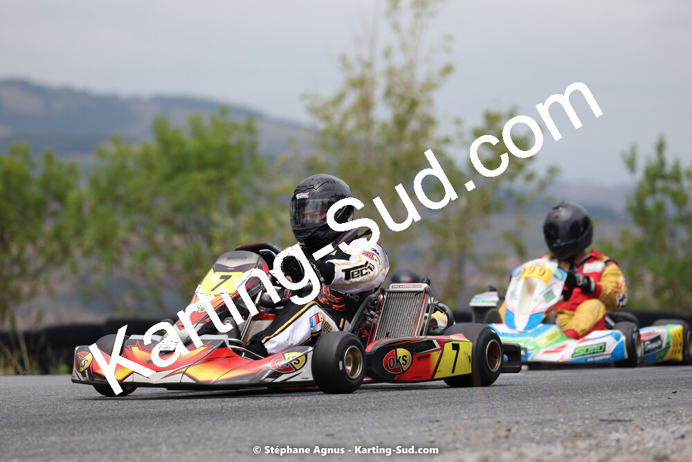 26/06/2022 : 1ère manche du Challenge Jean-Claude Sanchez à Belmont sur Rance (Photos Stéphane Agnus) 2022 — karting
