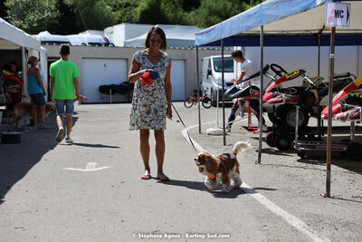 02 & 03/07/2022 : IAME Series France – Round 3 au circuit d’Aigues-Vives (Photos Stéphane Agnus) 2022 — karting
