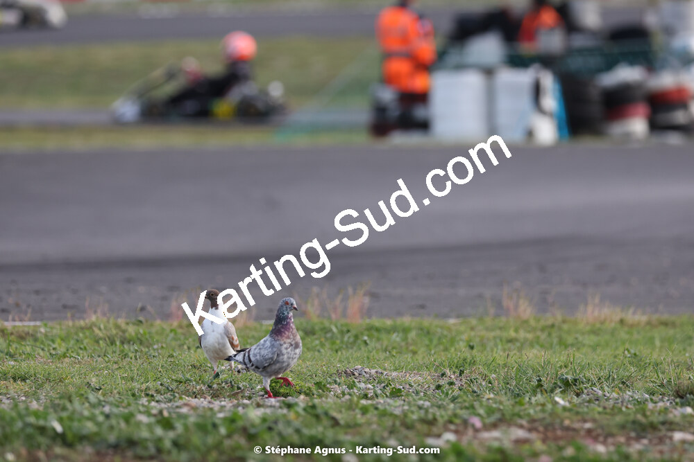 24 & 25/09/2022 : 5ème manche du Championnat du Sud 2022 au circuit Fun Kart Brissac à Ganges (photos Stéphane Agnus) 2022 — karting