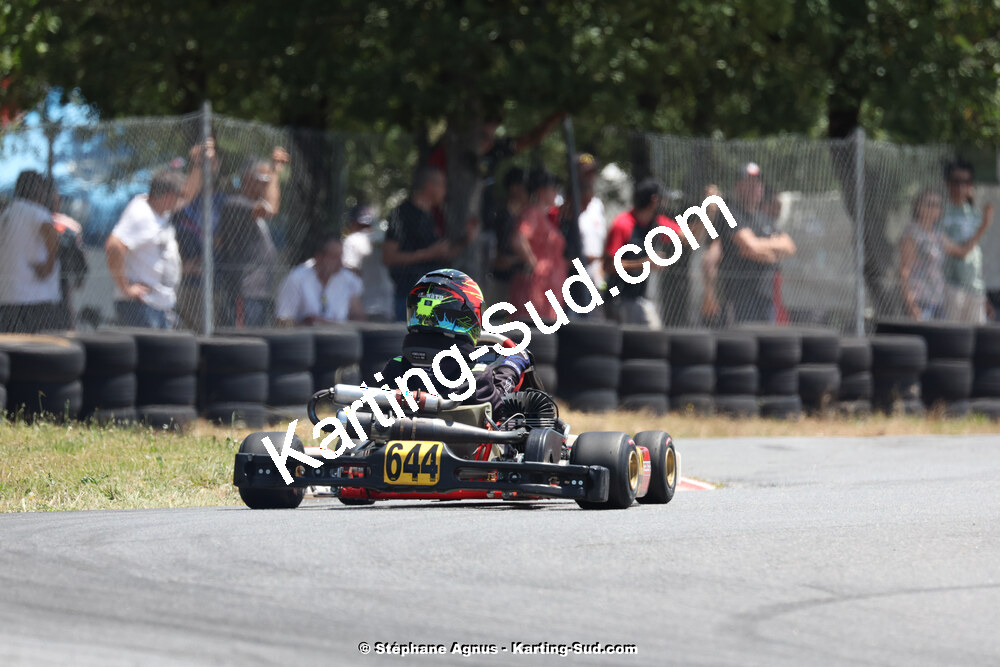 09/07/2023 : 1ère manche du Challenge Jean-Claude Sanchez à Belmont sur Rance (photos Stéphane Agnus) 2023 — karting
