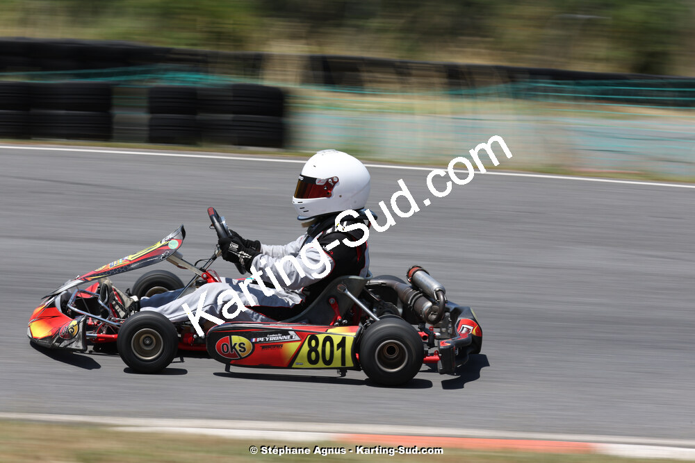 09/07/2023 : 1ère manche du Challenge Jean-Claude Sanchez à Belmont sur Rance (photos Stéphane Agnus) 2023 — karting