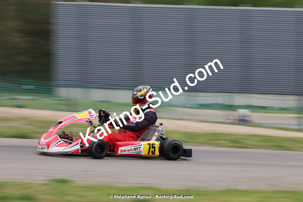 KS-2J4A9231.jpg