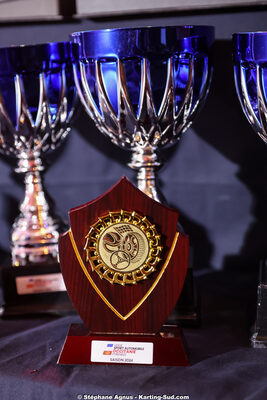 19/01/2025 : Remise des Trophées de la Ligue du Sport Automobile Occitanie Pyrénées à Albi (photos Stéphane Agnus) 2025 — karting