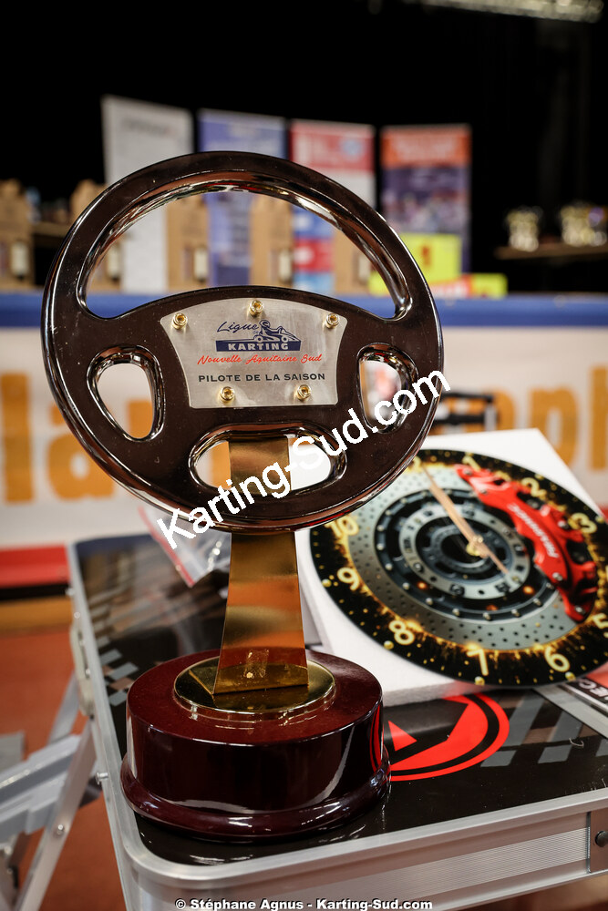 17/01/2026 : Remise des Prix 2025 de la Ligue de Karting Nouvelle Aquitaine Sud (photos Stéphane Agnus) 2026 — karting