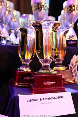 18/01/2026 : Remise des Trophées 2025 de la Ligue du Sport Automobile Occitanie-Pyrénées (photos Stéphane Agnus) 2026 — karting