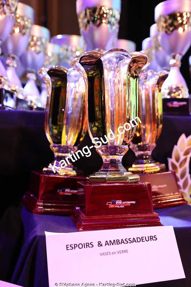 18/01/2026 : Remise des Trophées 2025 de la Ligue du Sport Automobile Occitanie-Pyrénées (photos Stéphane Agnus) 2026 — karting