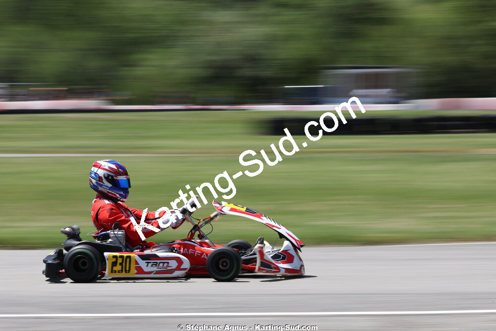 Sénior — 05-07/06/2026 : IAME Series France Round 2 à Aigues-Vives (Photos Stéphane Agnus) 2026 — karting
