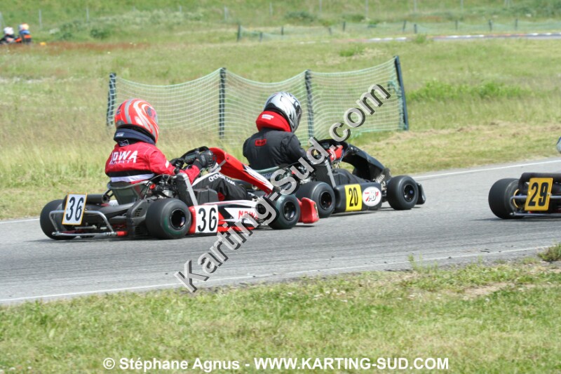 IMG_3526.JPG