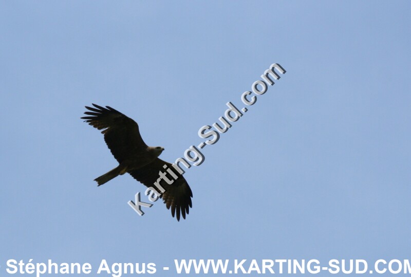 IMG_3835.JPG