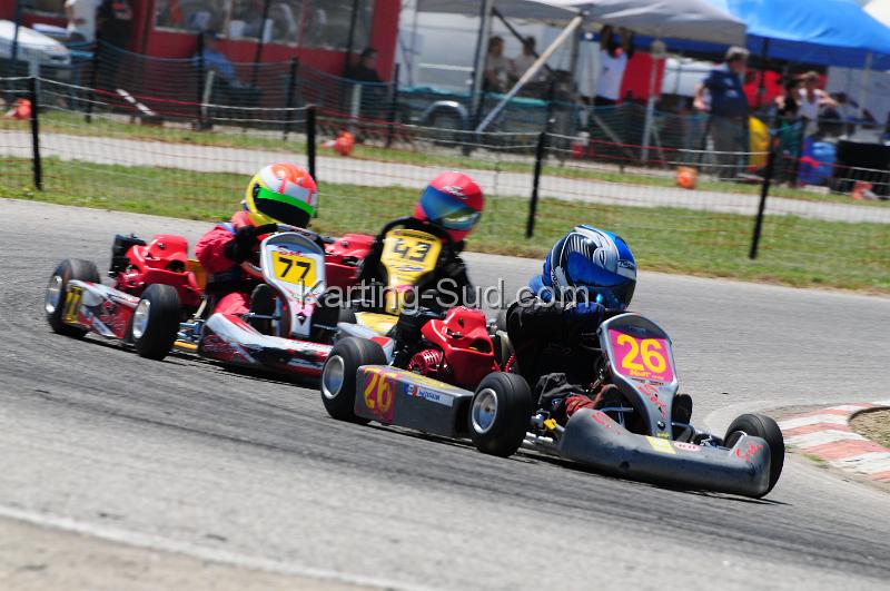 DSC_3246.JPG