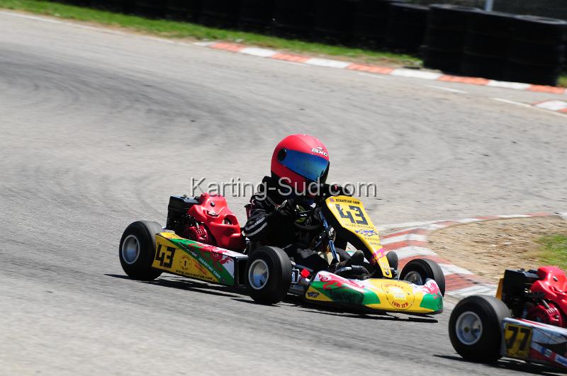 DSC_3250.JPG