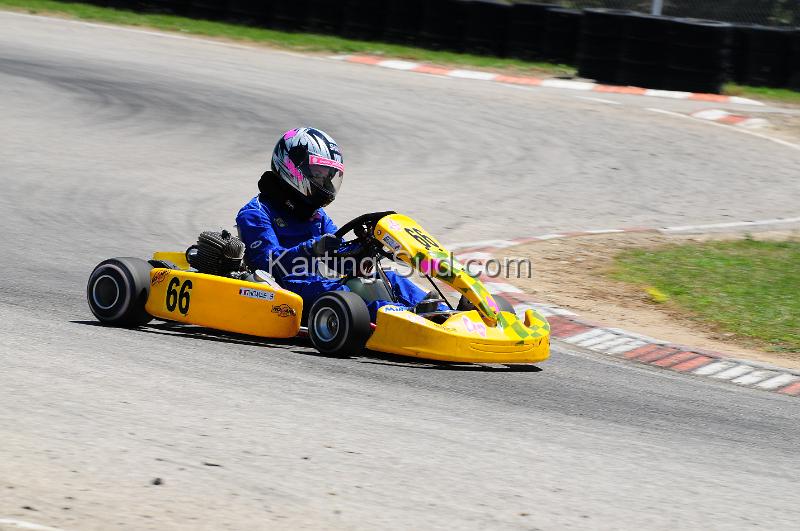 DSC_3308.JPG