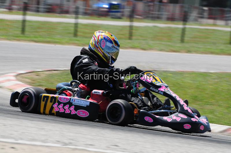 DSC_3372.JPG