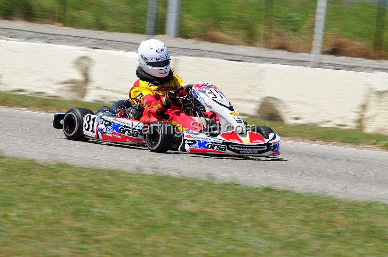 DSC_3373.JPG